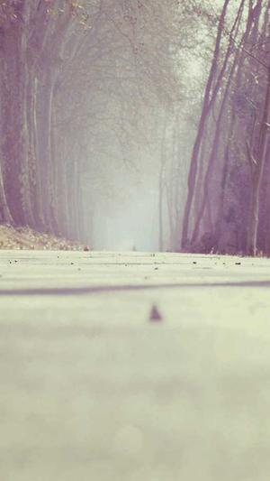 痞幼黑料是什么意思截图2