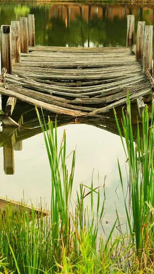 霍格沃茨吃瓜人截图1