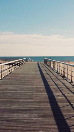 吃哈密瓜会上火吗截图2