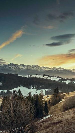 吃瓜的意思截图5