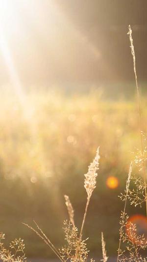 吃哈密瓜有什么坏处截图2