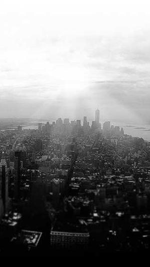 黑料传送门线路一截图1