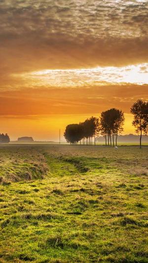 蒲瓜怎么吃截图4