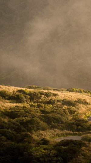 黑料不打烊回家地址截图1