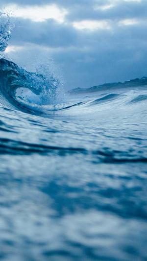 吃瓜网必看大瓜截图2