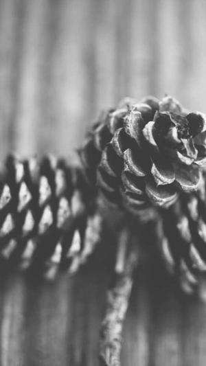 黑料不打烊tttzzz07入口截图3