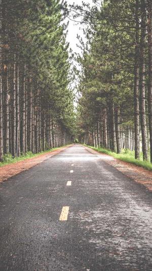 黑社料下载截图1