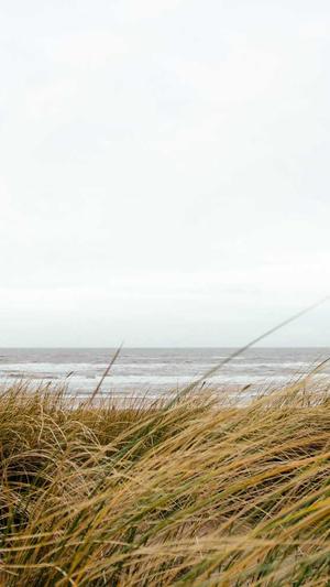 51cgfun吃瓜网怎么进截图5