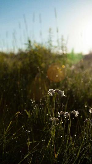 153.sk 黑料截图2