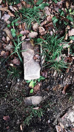 黑料不打烊吃瓜截图1