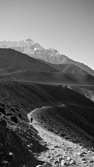 白兰瓜怎么吃截图4