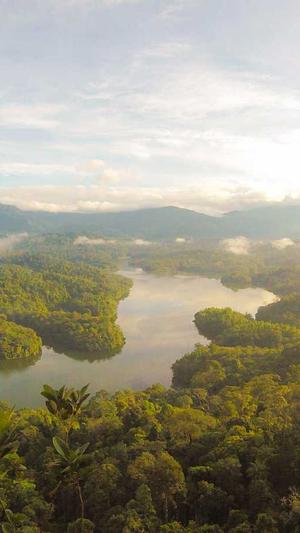 孕妇初期可以吃哈密瓜吗截图2