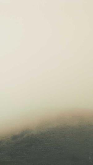 宝宝可以吃哈密瓜不截图2