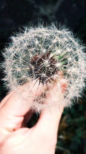 emma watson黑料截图3