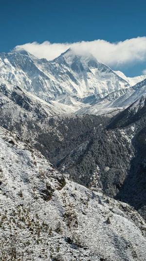 51cg吃瓜在线截图2