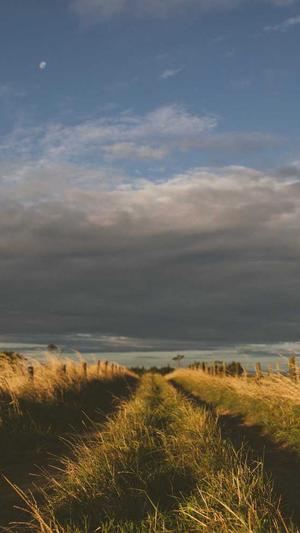 51吃瓜网最新入口截图3