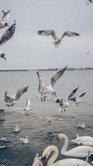 免费吃瓜app截图3