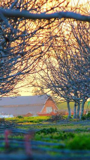 宝宝可以吃哈密瓜不截图1