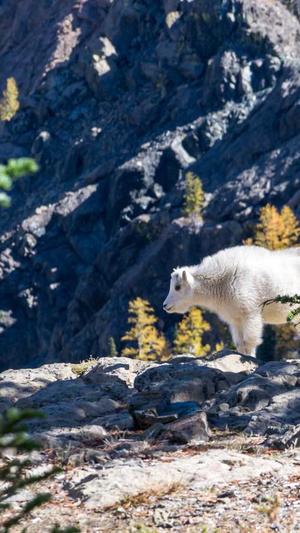 我爱51吃瓜网截图4