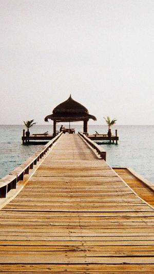 怀孕可以吃哈密瓜么截图3