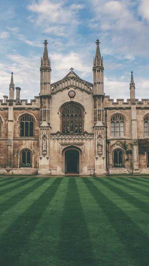 吃佛手瓜的好处截图2