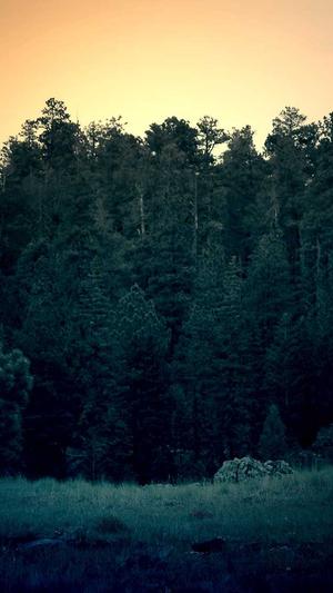 黑料不打烊tttzzz最新地址截图2