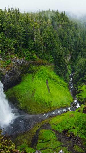 黑料社区下载截图1