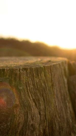 黑料不打烊线路入口截图3