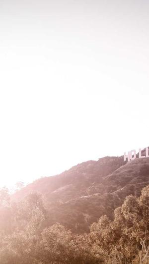 黑社料下载截图3