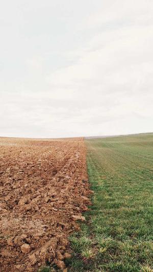 吃瓜爆料黑料在线heiliao截图3