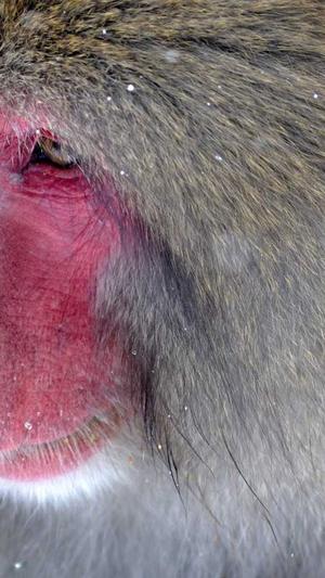 蔡徐坤吃瓜群众表情包截图3