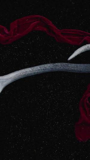 66吃瓜网 - 免费吃瓜截图2