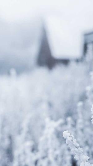 黑料不打烊网址最新截图1