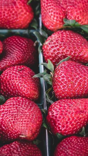 健身可以吃哈密瓜吗截图3