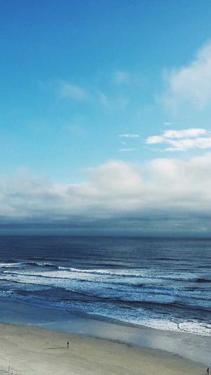 黑坑钓罗非窝料截图3