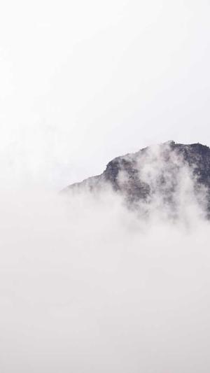 娱乐吃瓜李易峰截图1