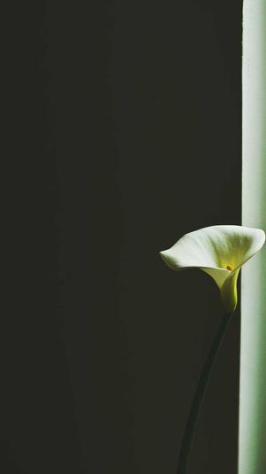 吃瓜网黑料截图2