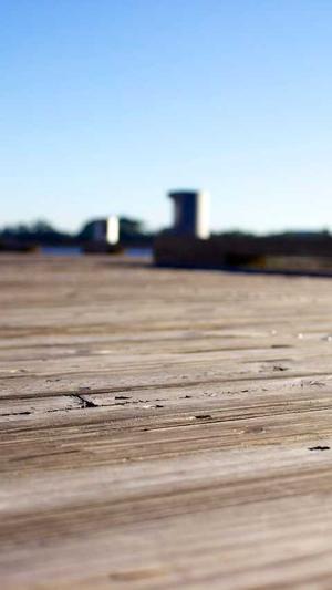 哈密瓜几月份吃是正季截图2