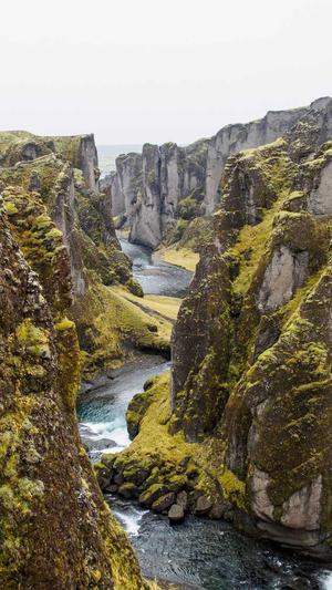 胖翻译官吃瓜截图3