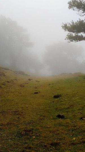 51吃瓜最新版本下载截图3