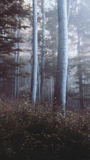 2022娱乐圈吃瓜大合集截图2