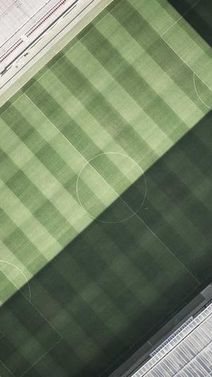 黑坑擒龙窝 青鱼窝料截图2